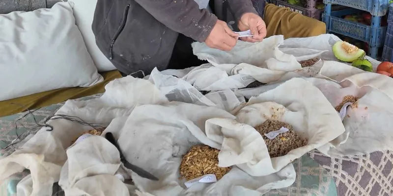 10 ilde bedava dağıtacak: 70 liraya satılıyor