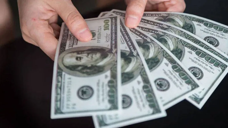 4 Kasım serbest piyasada döviz açılışı: Dolar 42,07 liradan, avro 48,52 liradan liradan güne başladı