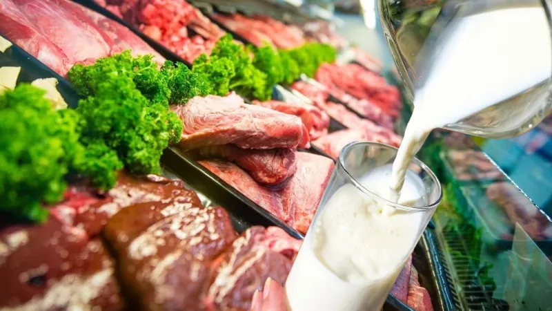 6 kıtaya yayılan hastalık: Keneden geçiyor, et ve süt tüketince ortaya çıkıyor!