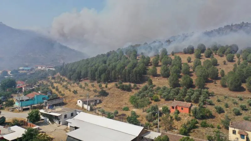 Aydın'da orman yangını