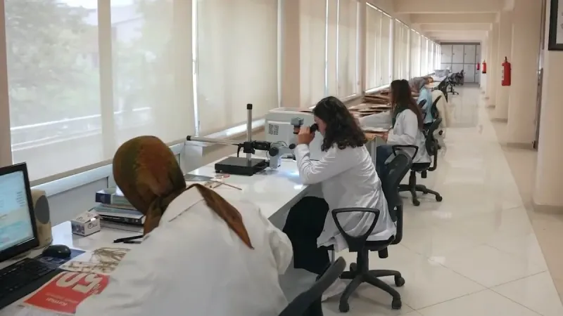 Bakan Vedat Işıkhan'dan "İŞKUR Gençlik Programı"na ilişkin paylaşım