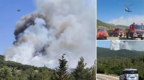 Balıkesir'deki orman yangınında 2'nci gün: 5 gözaltı