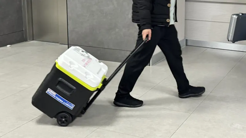 Beyin ölümü gerçekleşen Ayşe Teyze'nin organları 3 kişiye umut oldu