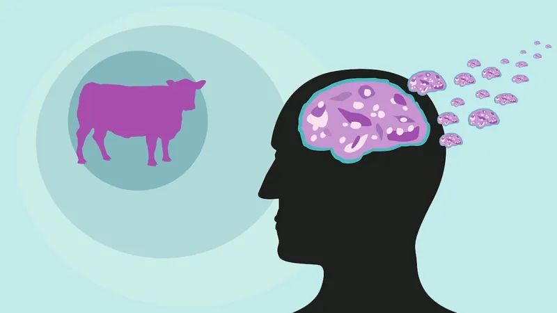 Türkiye'de Deli Dana Alarmı! Yeni Vakalar ve Tehlikeler