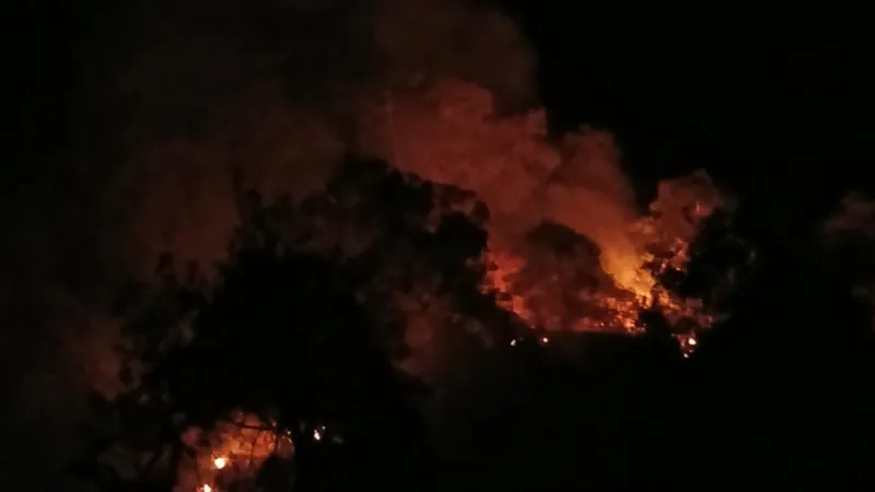 Denizli'de Korkutan Yangın! Kontrol Altına Alındı mı?