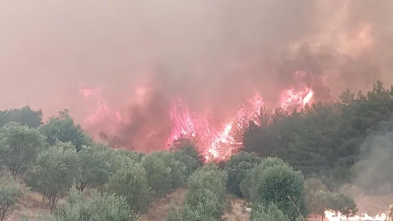Denizli'deki yangına müdahale sürüyor