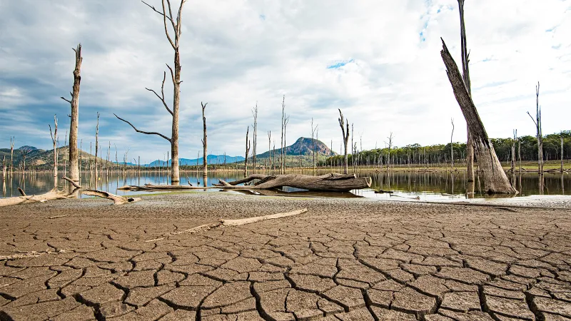 Dünyada her saniyede 42 kamyon toprak erozyonla kayboluyor