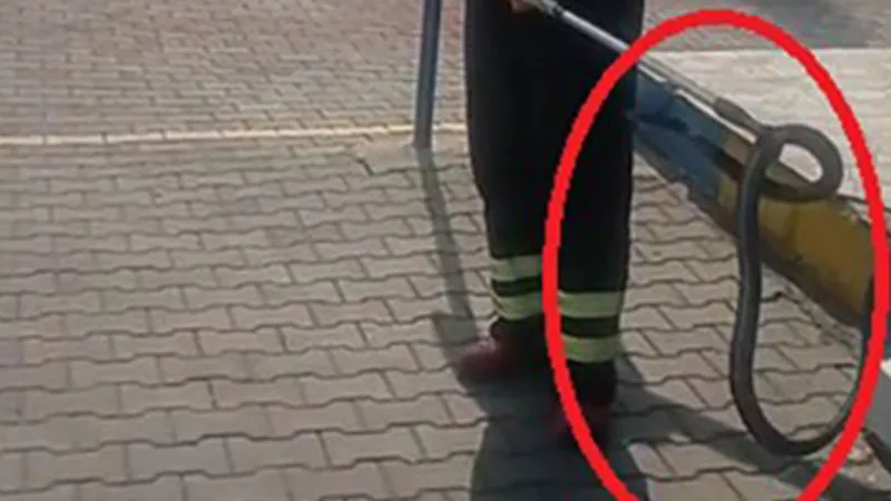 Fabrikada yılan paniği! Çalışanlar fark etti