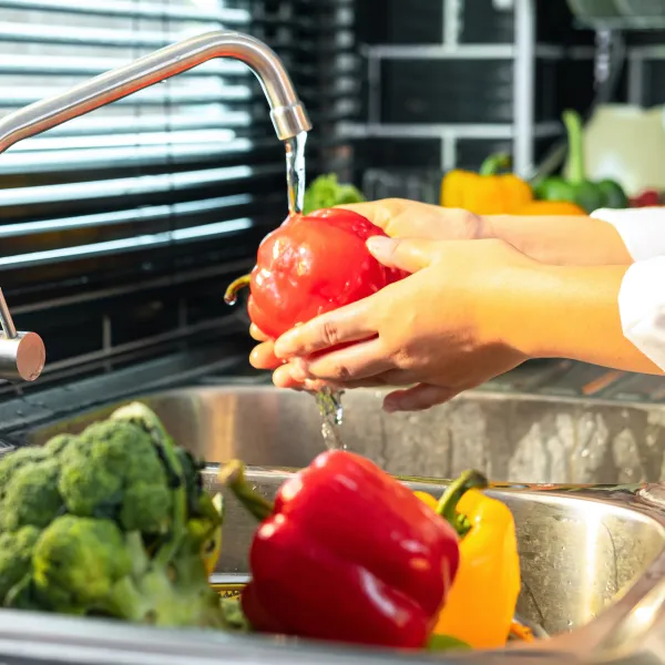 Türkiye'den Gıda Güvenliği Hamlesi: Safe2Eat Kampanyası Başladı!