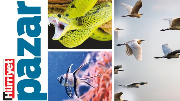 Hareketlilik ama ne uğruna?