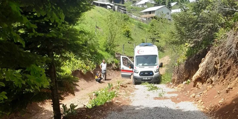 Feci Kaza: Kamyonet Şarampole Yuvarlandı! Acı Haber Geldi