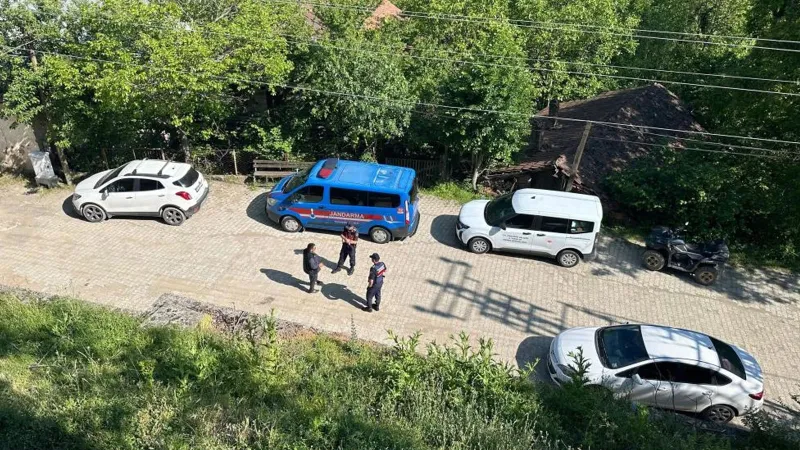 Karabük'teki köpek ölümleriyle ilgili inceleme başlatıldı