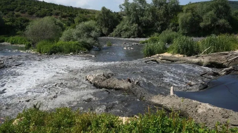 Marmara Alarm Veriyor! Nilüfer Nehri'nden Zehir Akıyor