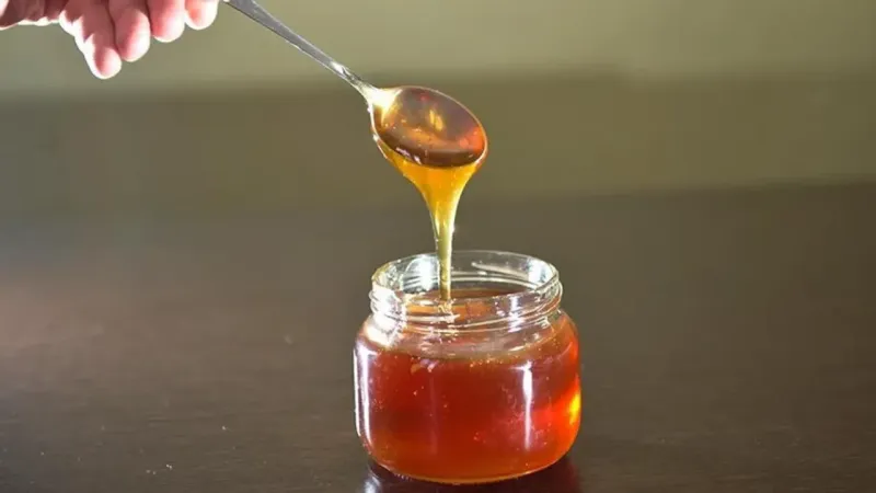 Kendi ürettiği deli baldan iki çorba kaşıyı yedi: Ölümden döndü!