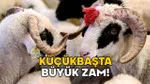 Kurbanlık Fiyatları Uçtu! 2025'te Kurban Kesmek Hayal Mi Oldu?