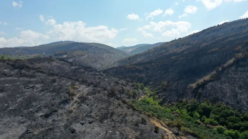 Manisa'nın Akhisar ilçesindeki orman yangınına müdahale 3. gününde sürüyor