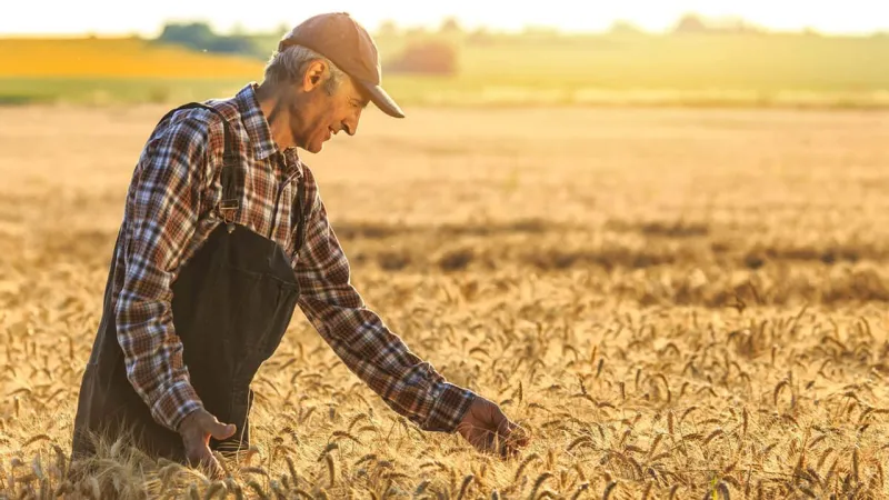 Çiftçiler Günü: Toprağın Kahramanları! 🌾