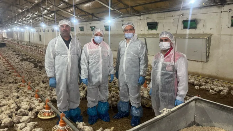Erzincan'dan Dünyaya Lezzet! Tavuk İhracatında Rekor Artış