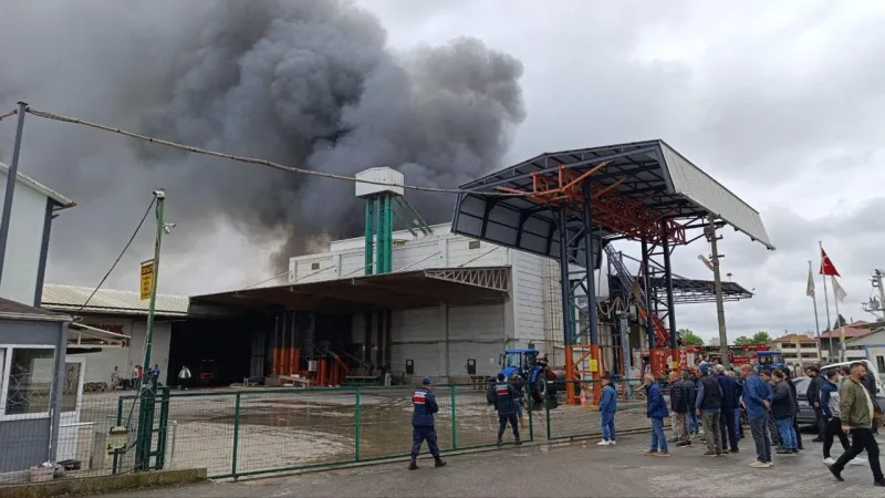 Sakarya'da Fındık Fabrikasında Korkunç Yangın! Alevler Yükseliyor