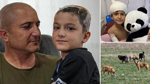 Tunahan'a Köpek Saldırısı Davasında Şok Karar! Adalet Mi?