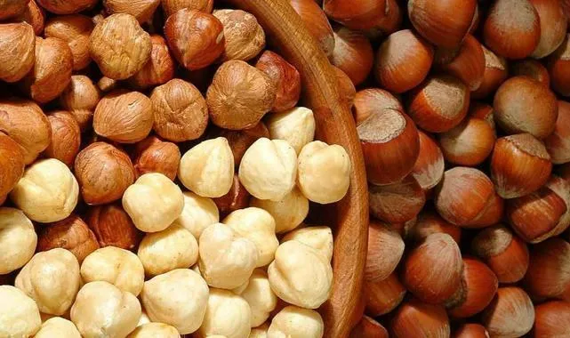 Fındıkta Rekor Gelir! Türkiye İhracatta Coştu