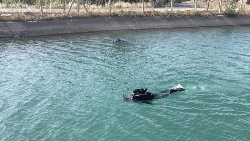 Şanlıurfa'da Acı Son: Sulama Kanalında Kaybolan Çocuk Bulundu!