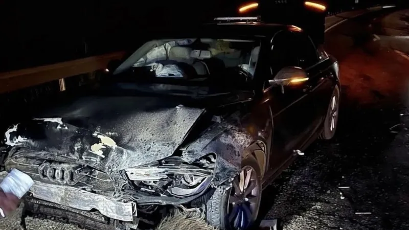 Sinop Belediye Başkanı'nın Makam Aracı Domuz Sürüsüne Çarptı! Şok Detaylar