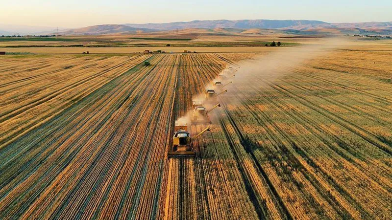 Tarım ÜFE'de artış yavaşladı