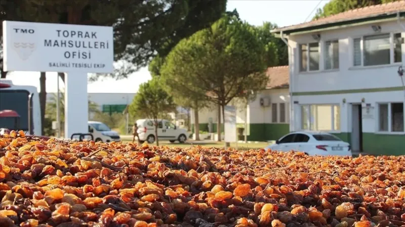 TMO'da nasıl randevu alınır? 2025 hububat fiyatları ne kadar?