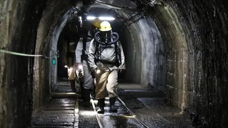 Zonguldak'ta Kömür Sahası İhalesi: Fırsat mı, Risk mi?