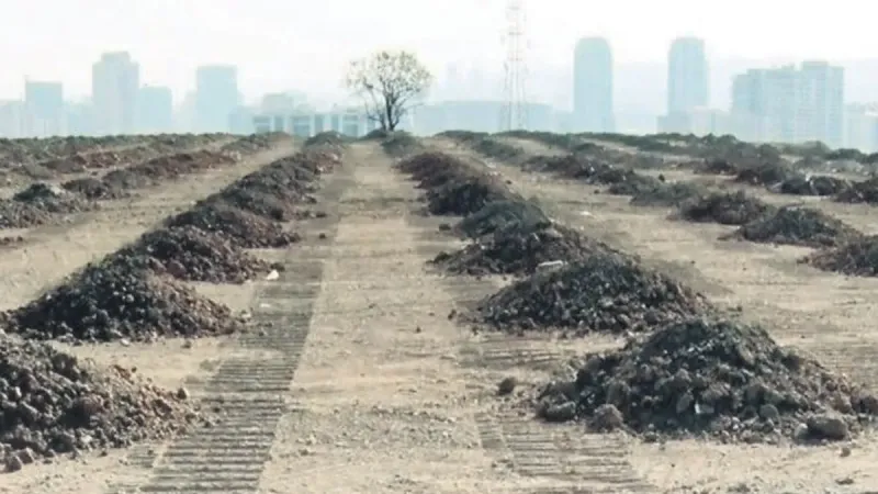 Yeşil Vatan Seferberliği: Yanan Ormanlar Nasıl Yeşerecek?