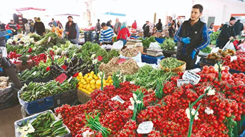 Yıllık enflasyon yüzde 35,41